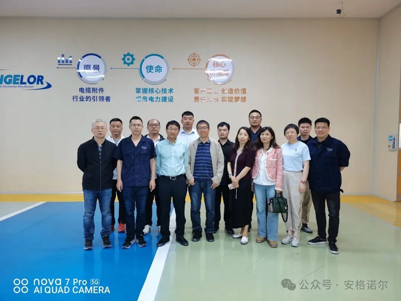 上海电缆研究所专家团队走访安格诺尔智能电气