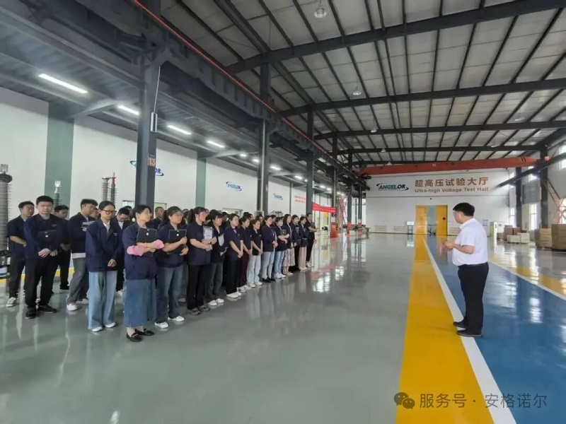 安格诺尔2025任命仪式圆满举行