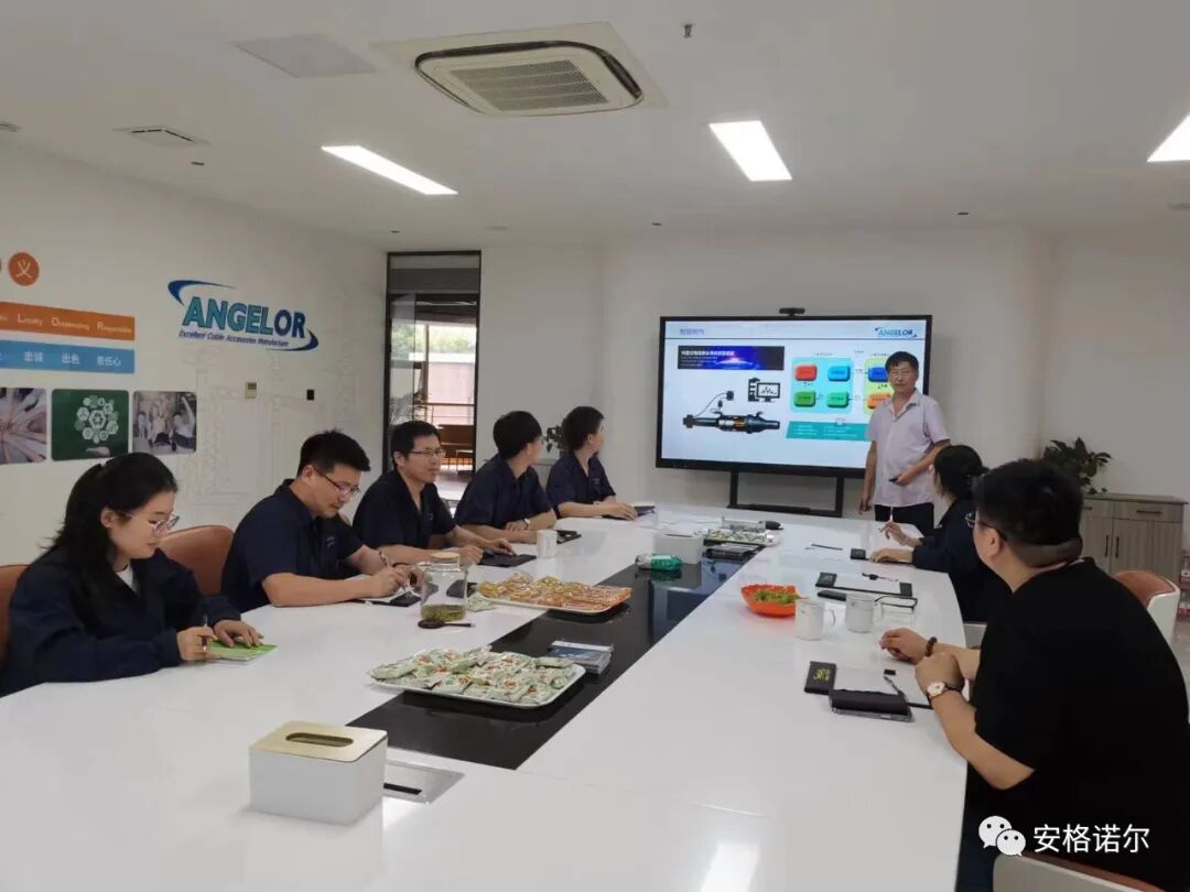 国网首席技术专家李建明教授莅临安格诺尔考察指导