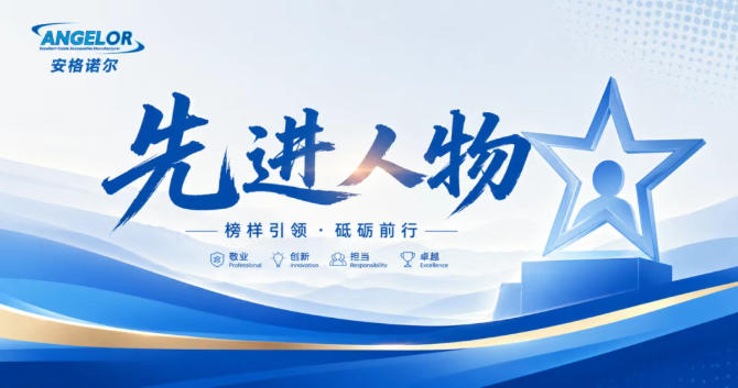 从普华永道到安格诺尔：90后CPA张晨煜，用数字化重塑财务新生态